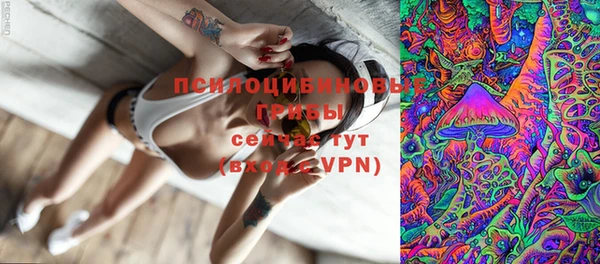 прущие крисы Верхний Тагил