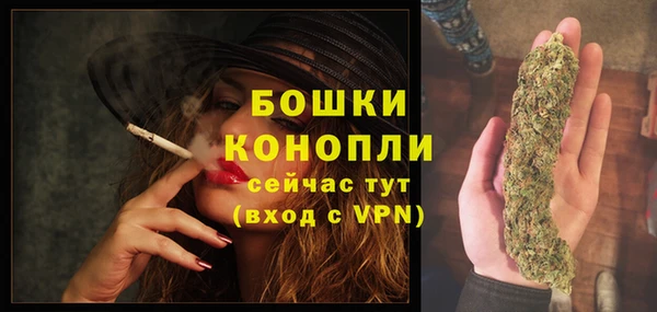 прущий лед Верея